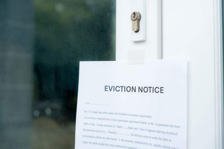 Expert Eviction Law